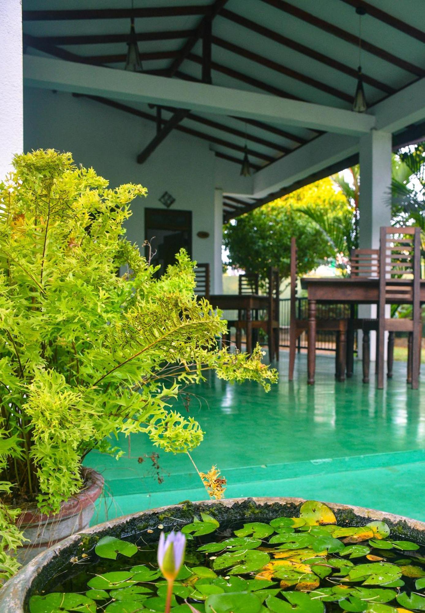 White Eagle Hotel Sigiriya Exterior foto
