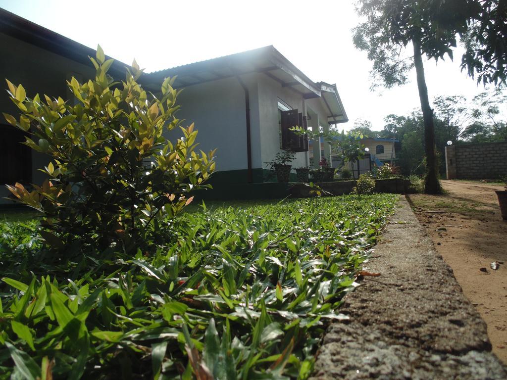 White Eagle Hotel Sigiriya Exterior foto